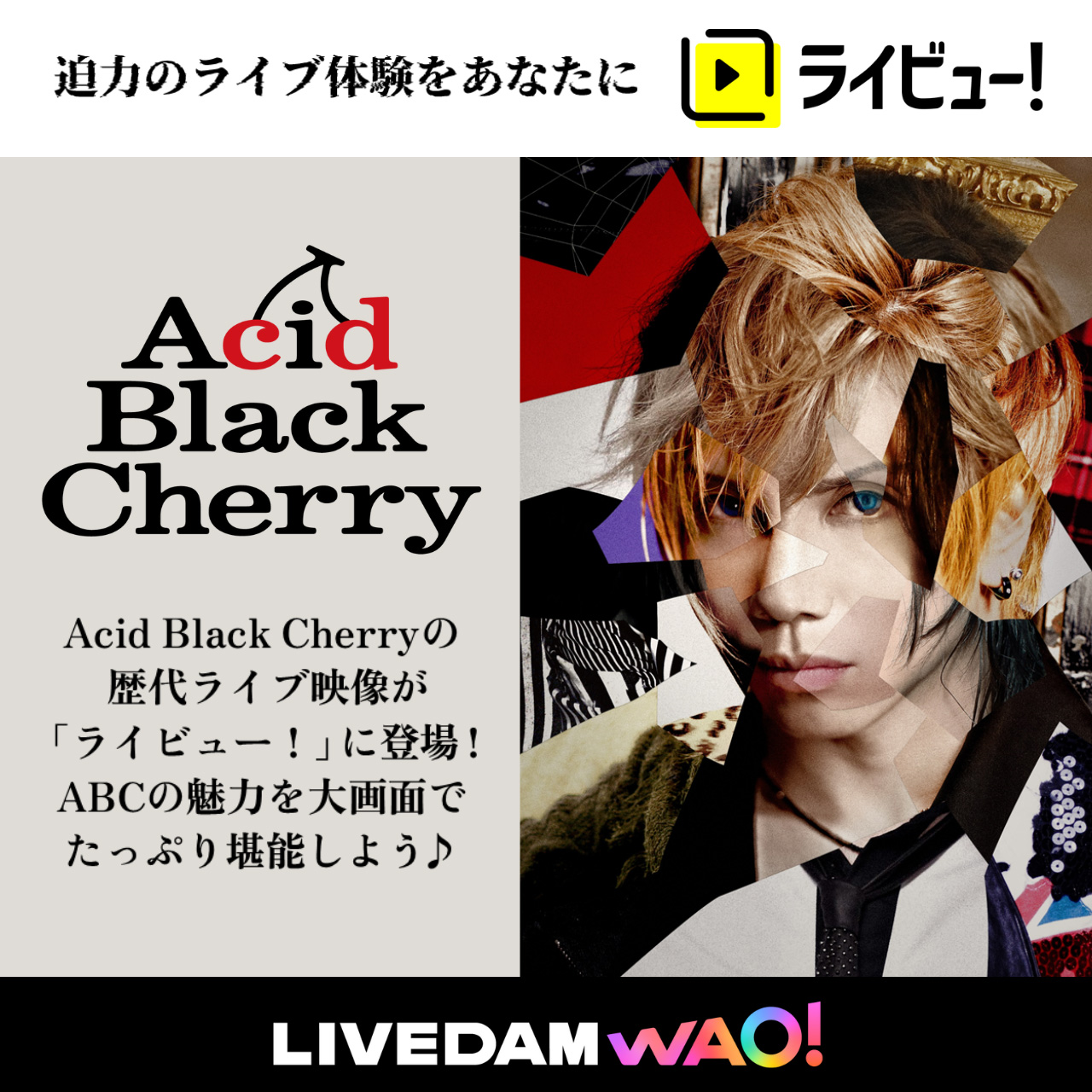 Acid Black Cherry 迫力のライブ体験をあなたにライビュー！